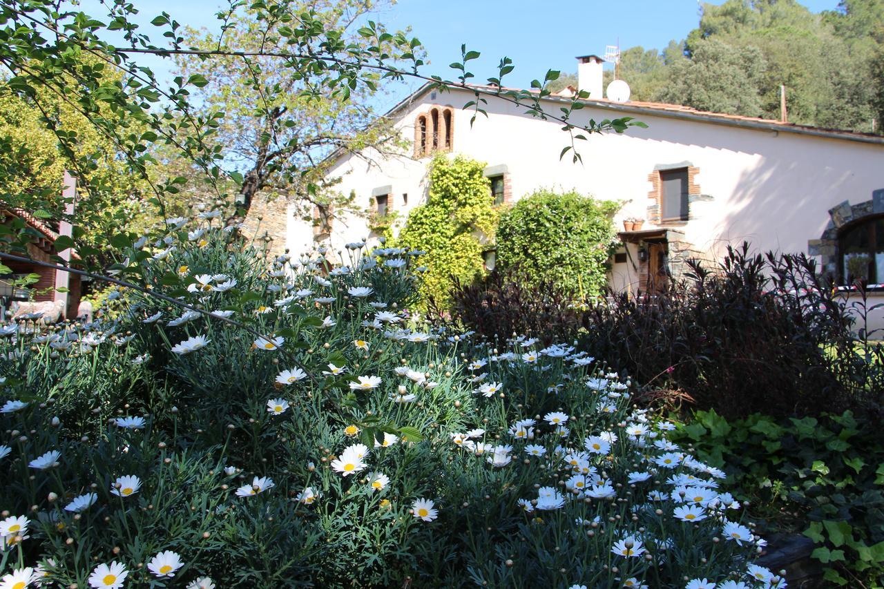 Can Barrina Montseny Exterior photo